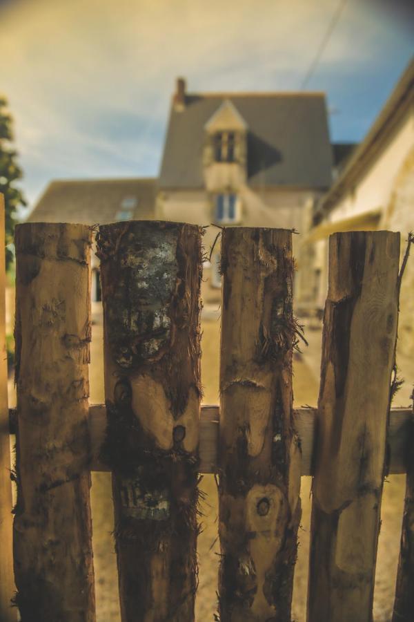 Le Petit Nancay Bed and Breakfast Thénioux Exteriör bild
